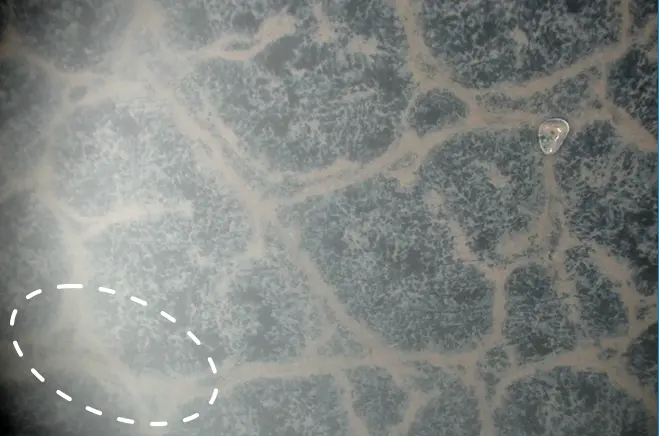 とろみが少ないオイル使用時のファンデーション浮き上がり